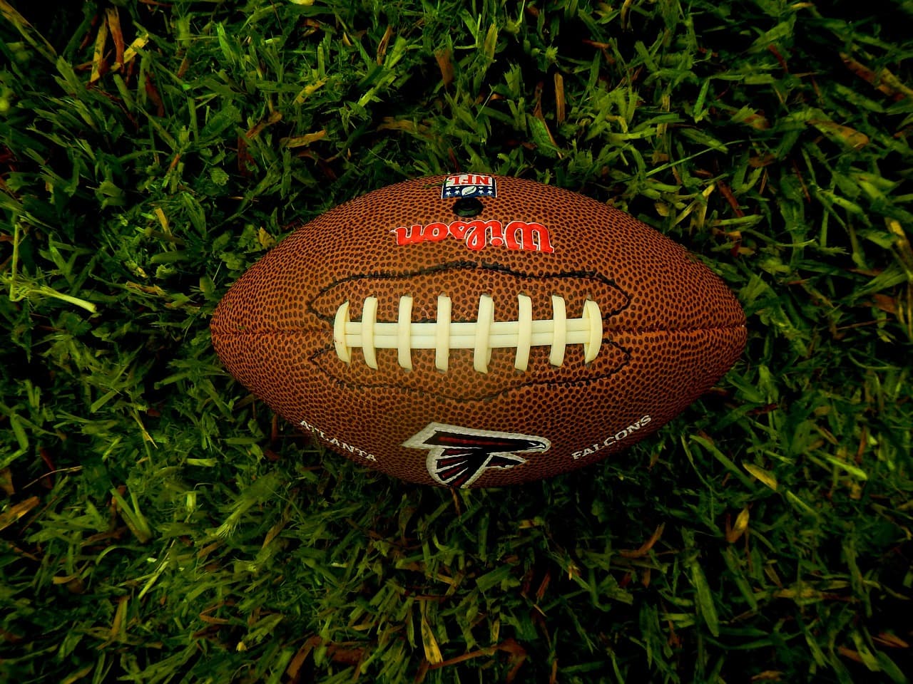 Football players lined up on the field during a professional game