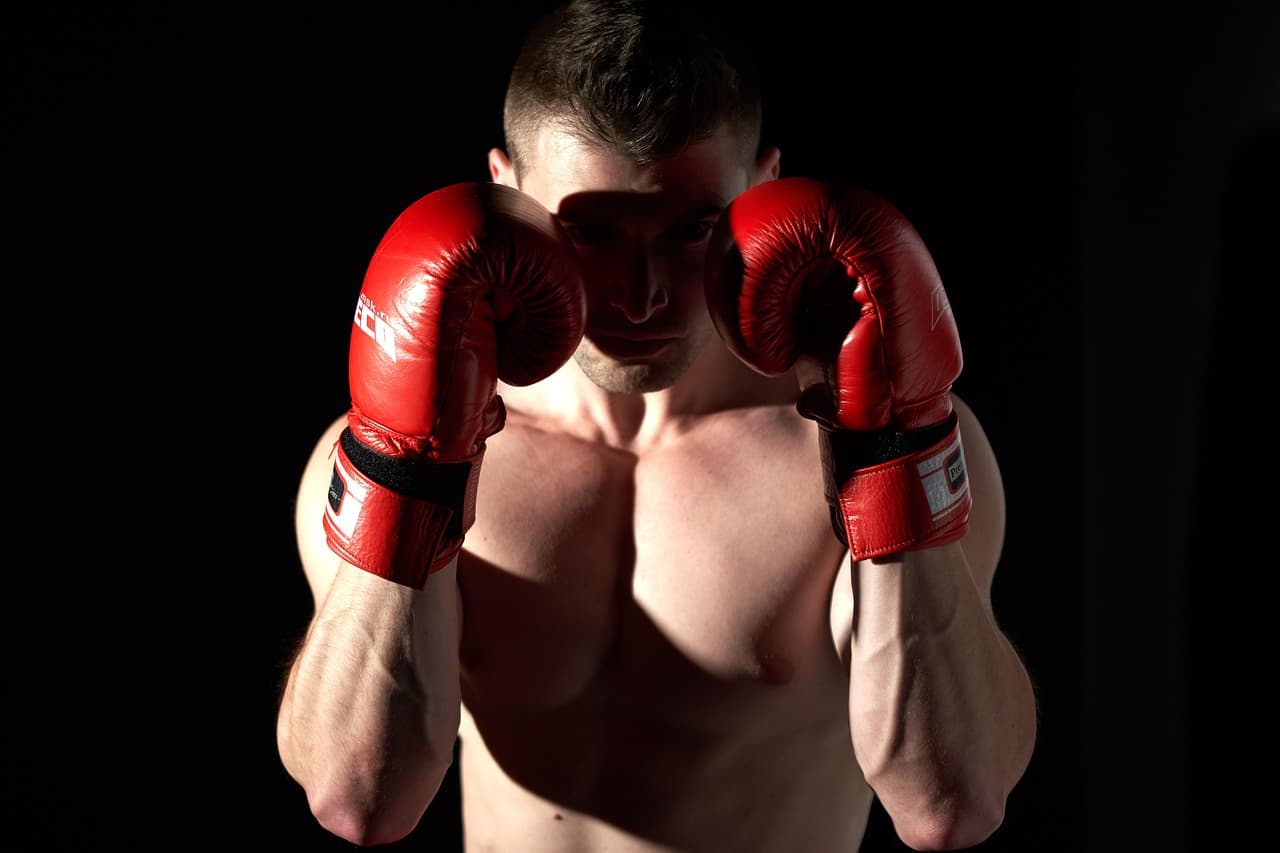 Fans watching a mixed martial arts fight card from arena seats