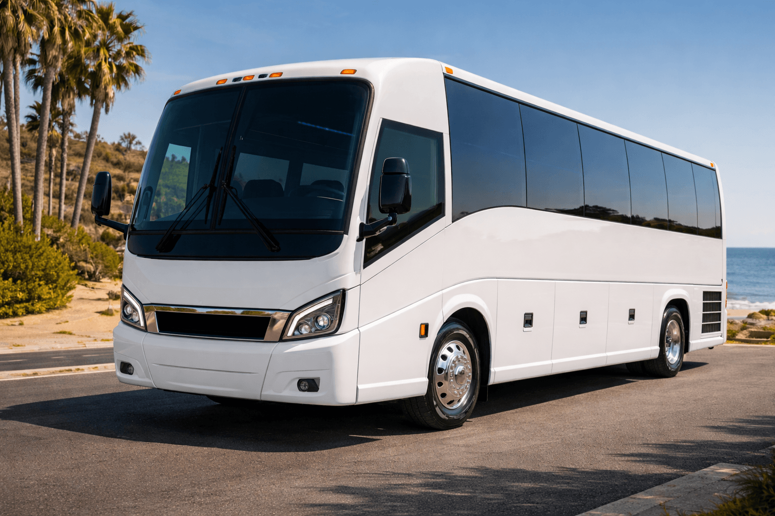 30 Passenger Coach Bus exterior