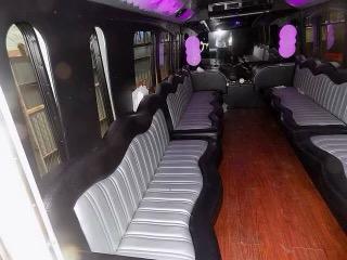 20 Passenger Party Bus