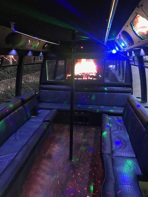 18 Passenger Party Bus